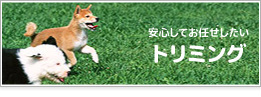 トリミング