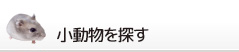小動物を探す
