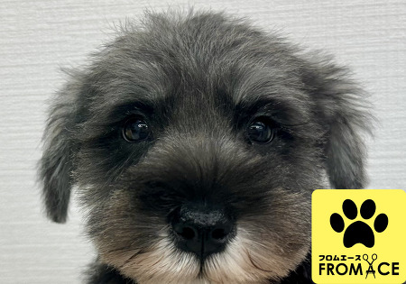 �~�j�`���A�E�V���i�E�U