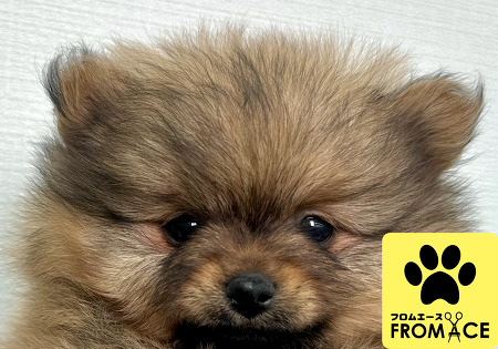 �|�����j�A��