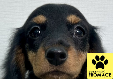 �~�j�`���A�E�_�b�N�X�t���h