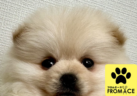 �|�����j�A��