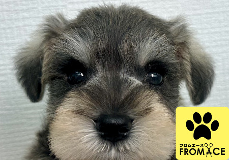 �~�j�`���A�E�V���i�E�U