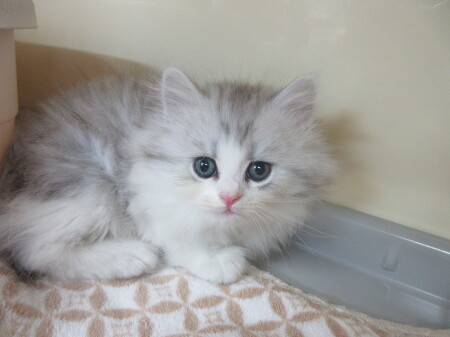 �~�k�G�b�g