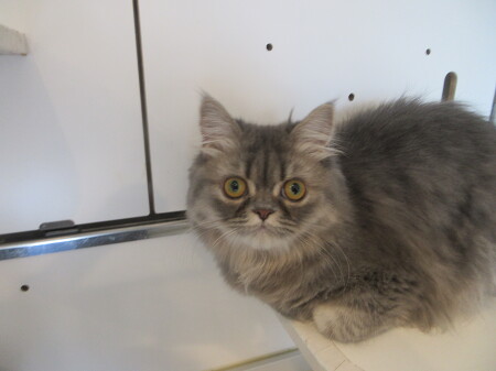 �~�k�G�b�g