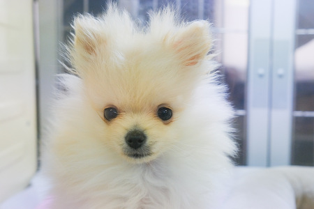 �|�����j�A��