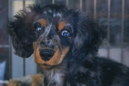 �~�j�`���A�E�_�b�N�X�t���h