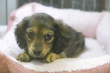 �~�j�`���A�E�_�b�N�X�t���h