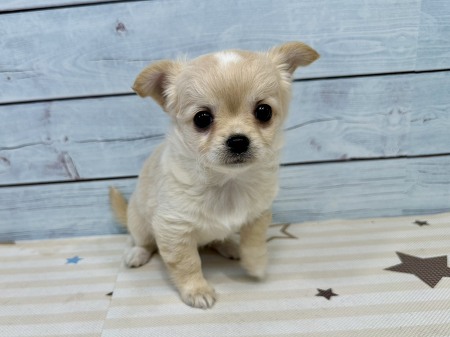�`����