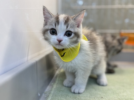 �}���`�J��