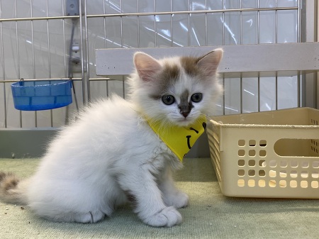 �}���`�J�������O�w�A�[�i�����j