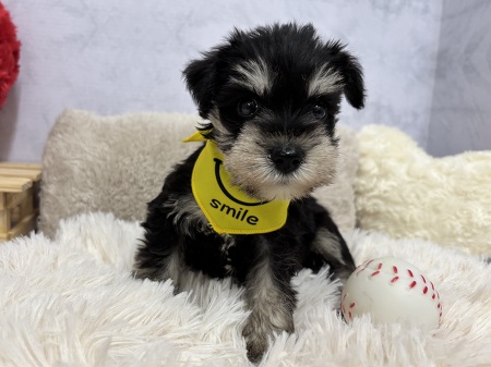 �~�j�`���A�E�V���i�E�U