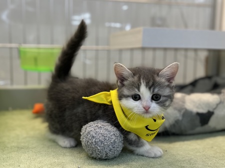 �}���`�J��