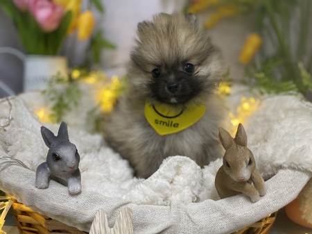 �|�����j�A��