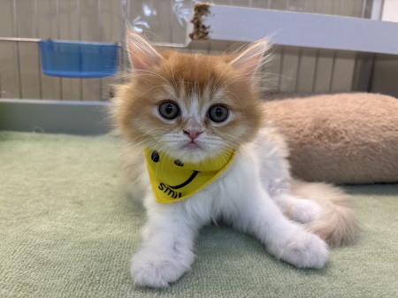 �~�k�G�b�g