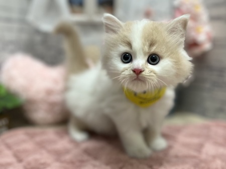 �}���`�J�������O�w�A�[����