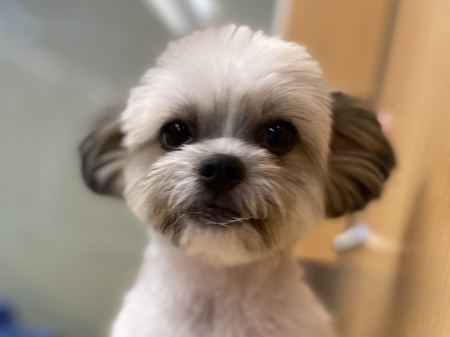 �~�b�N�X�i�`�����~�V�[�Y�[�j