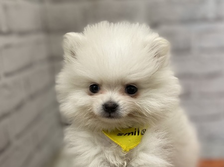 �|�����j�A��