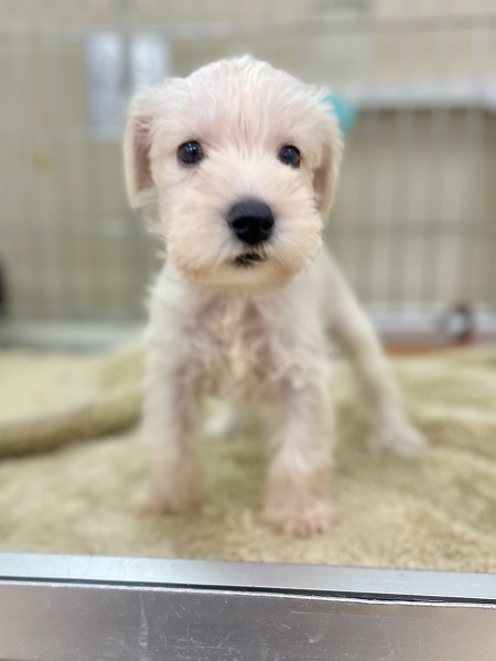 �~�j�`���A�E�V���i�E�U