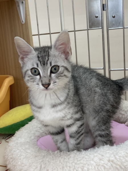 �G�W�v�V�����}�E