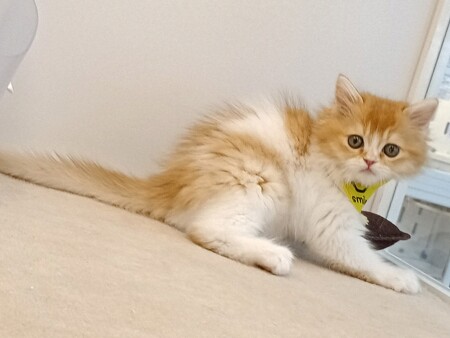 �~�k�G�b�g