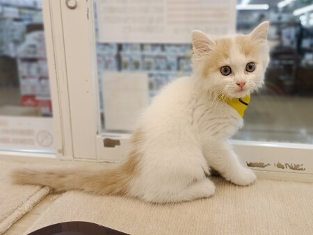 �}���`�J�������O�w�A�[