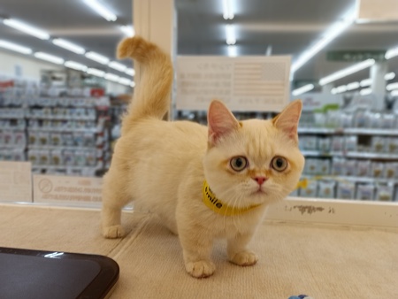�}���`�J��