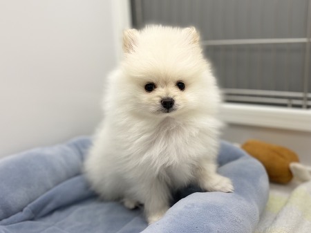 �|�����j�A��