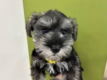 �~�j�`���A�E�V���i�E�U