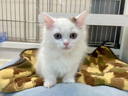 �}���`�J�������O�w�A�[