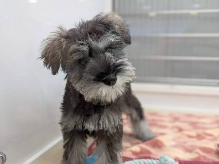 �~�j�`���A�E�V���i�E�U