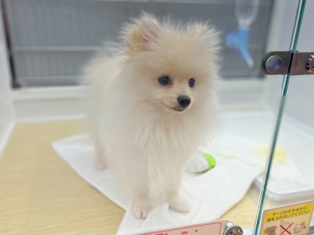 �|�����j�A��