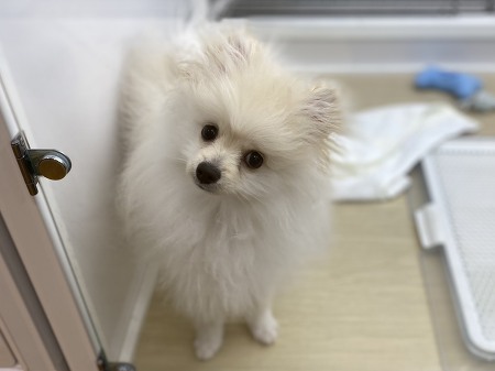 �|�����j�A��