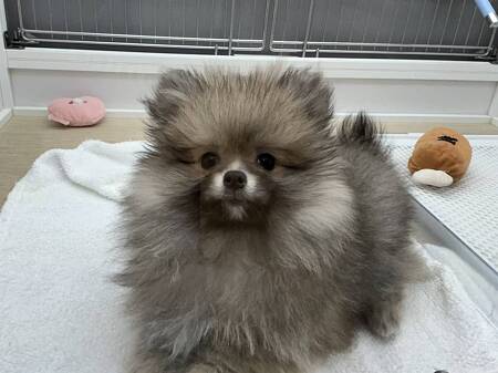 �|�����j�A��