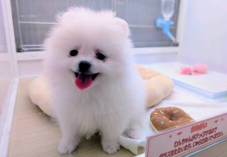 �|�����j�A��