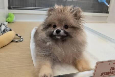 �|�����j�A��