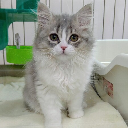 �~�k�G�b�g