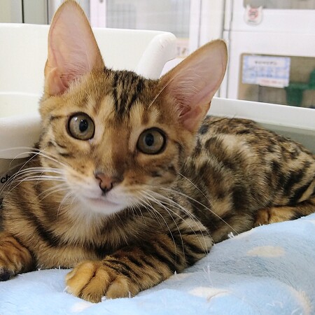 �x���K��