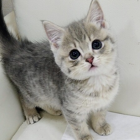 �}���`�J��