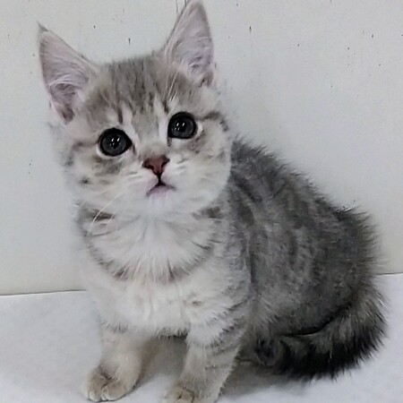 �}���`�J��