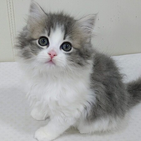 �}���`�J�������O�w�A�[