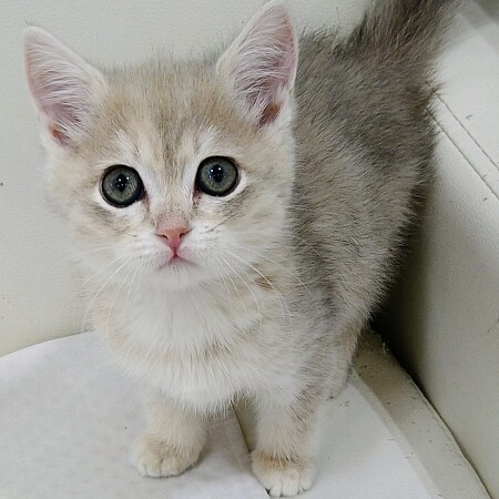 �}���`�J��