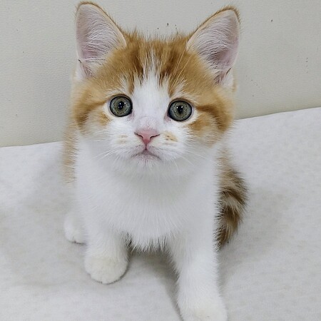 �~�k�G�b�g