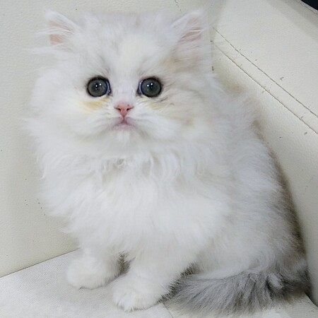 �~�k�G�b�g