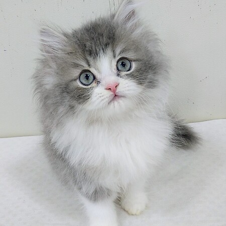 �~�k�G�b�g