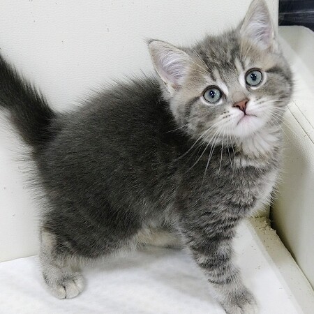 �}���`�J��