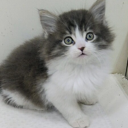 �T�C�x���A��