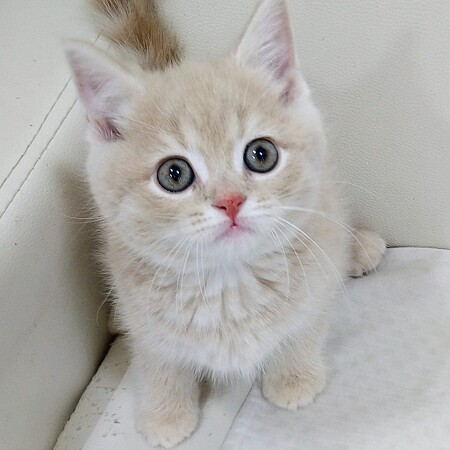 �}���`�J��