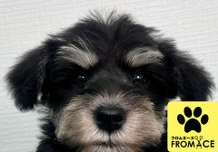 �~�j�`���A�E�V���i�E�U