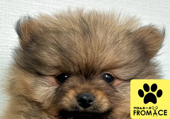 �|�����j�A��